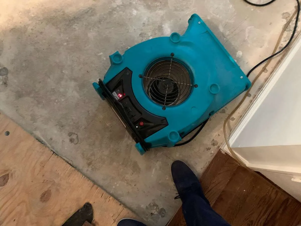 Air mover drying subfloor during Commercial Water Damage Restoration in Winchester